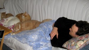 Cats loved Justin and would get as close to him as they could.
