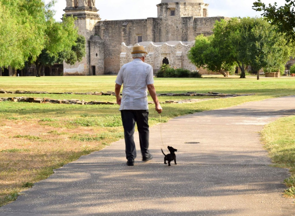 My heart took this picture. The memory of this gentleman and his tiny dog has remained with me. His small companion never took his eyes off his master and the comaraderie and joy they shared was infectious. I am still smiling.