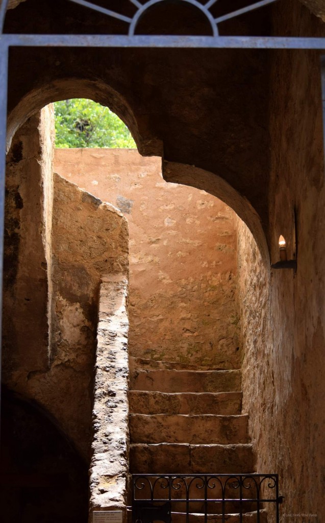 Mission Concepcion