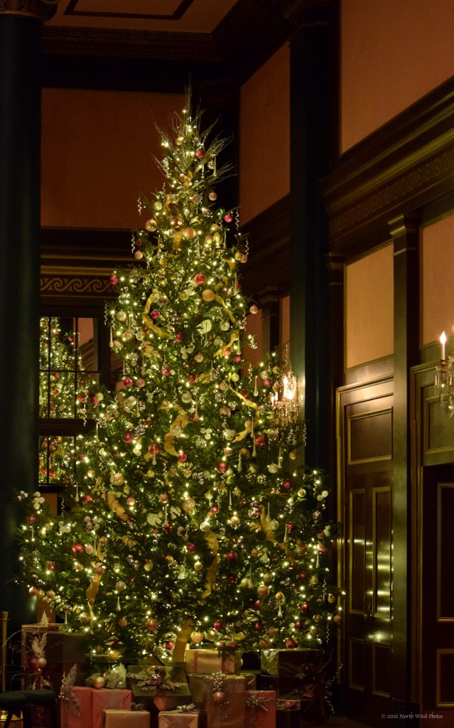 The Quintessential Christmas Tree