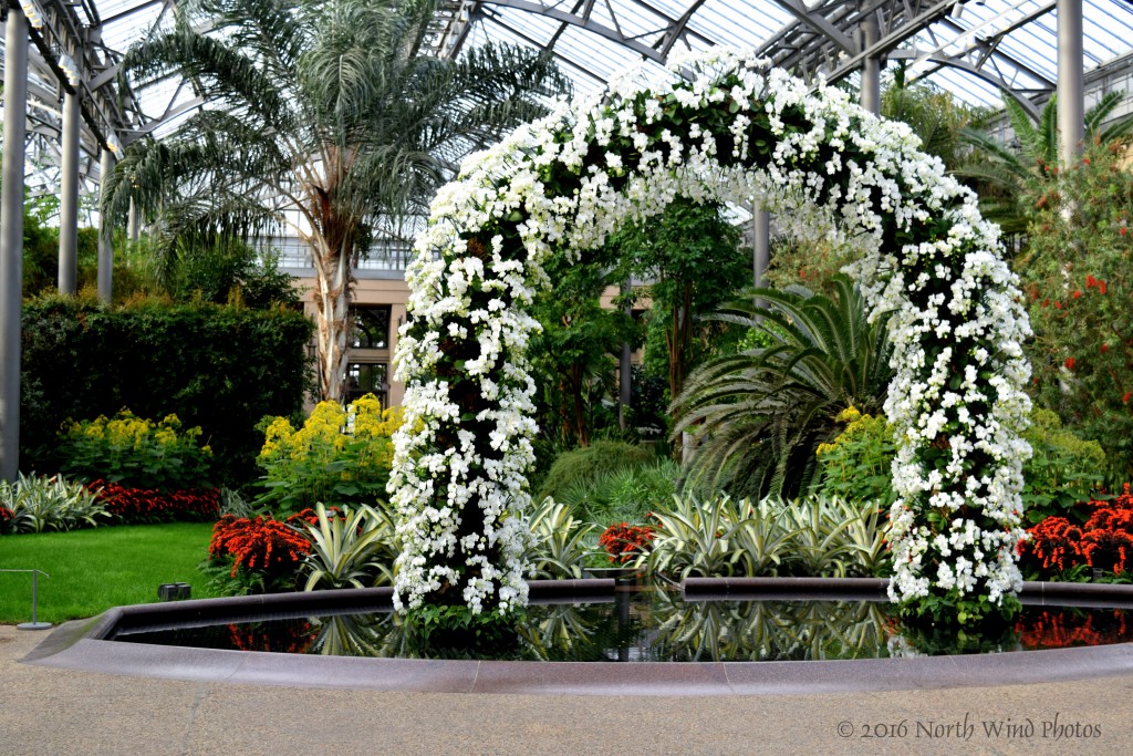 The sight that greeted us as we entered the conservatory.