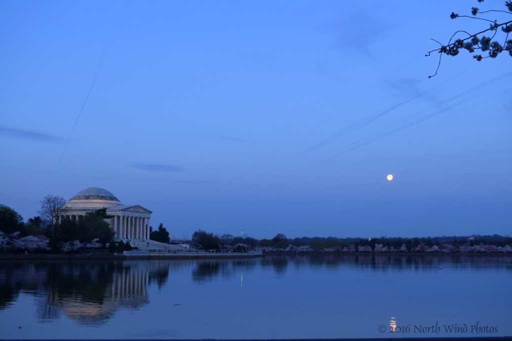 The moon was setting in the predawn hush.