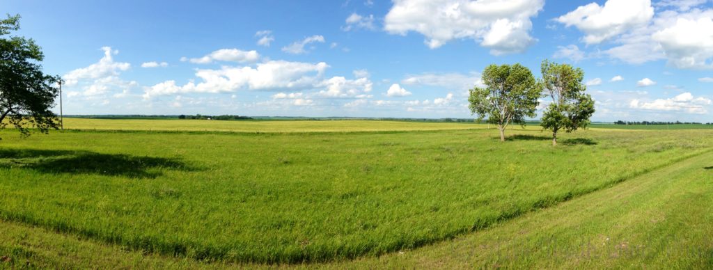 South Dakota. I am going back one day.