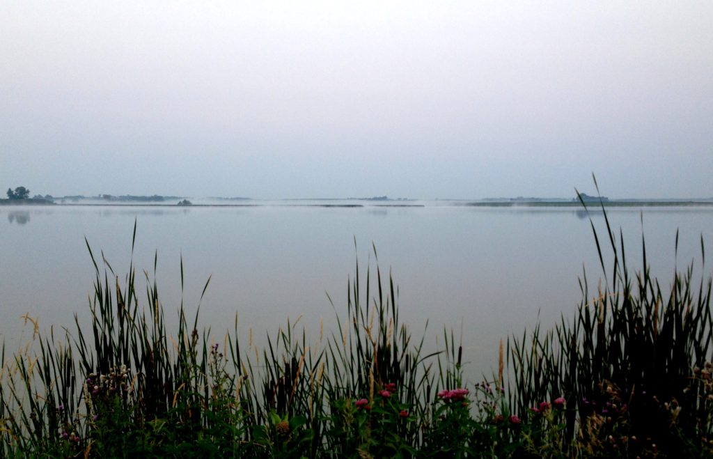 The Misty Lake